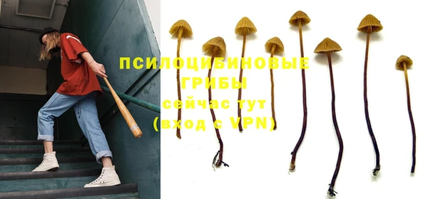 а пвп мука Алексеевка