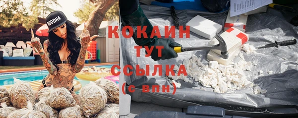 крисы Абаза
