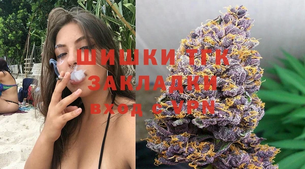 крисы Абаза