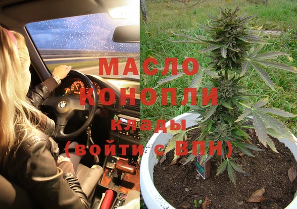 крисы Абаза