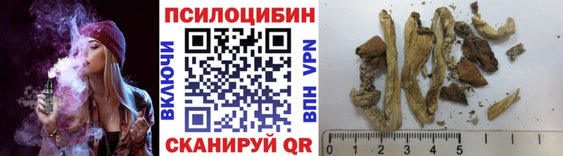 Псилоцибиновые грибы мицелий  как найти наркотики  Одинцово 